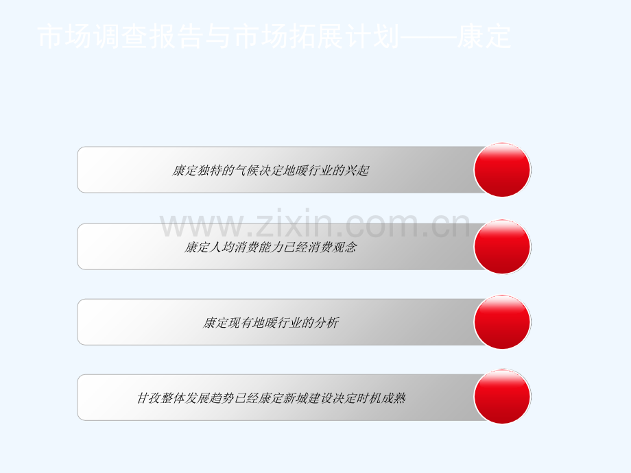 市场调查报告与市场拓展计划.ppt_第3页