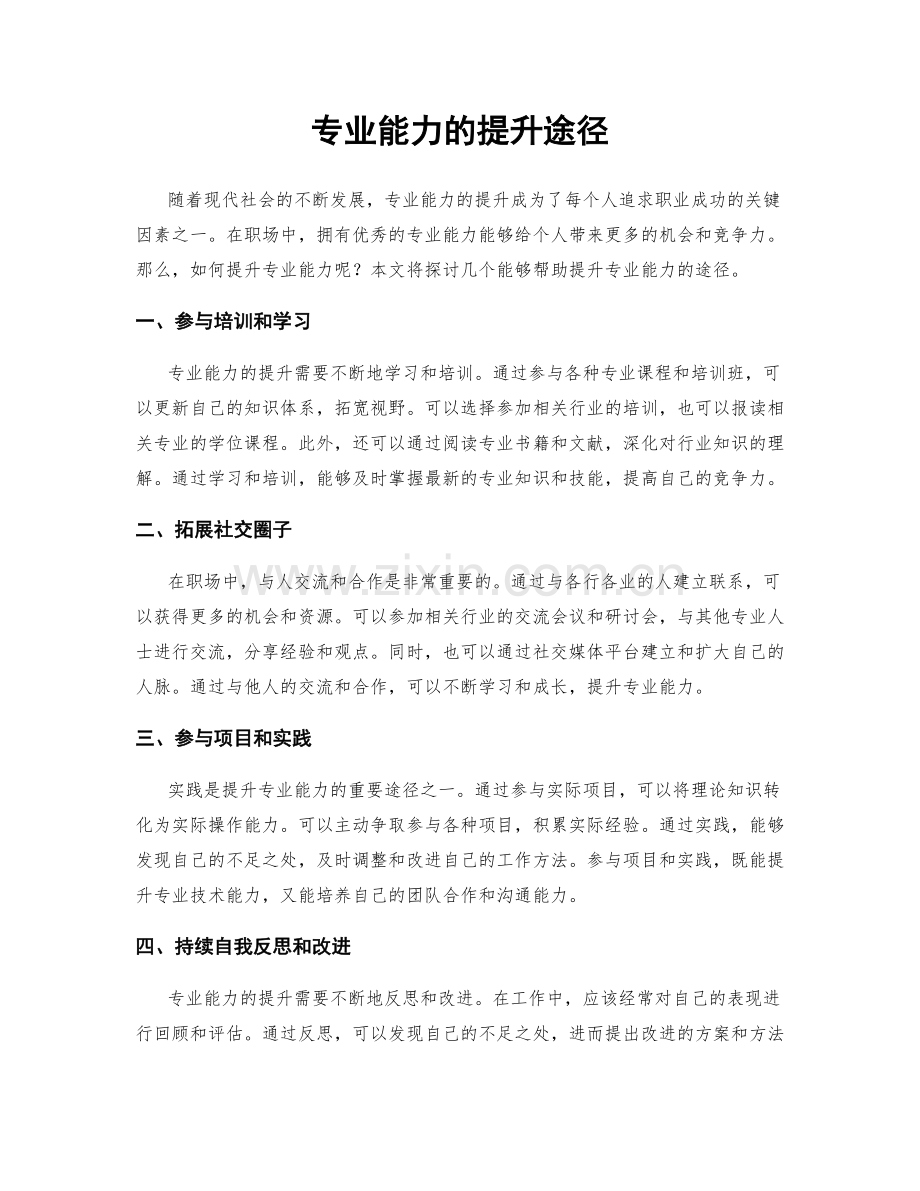 专业能力的提升途径.docx_第1页