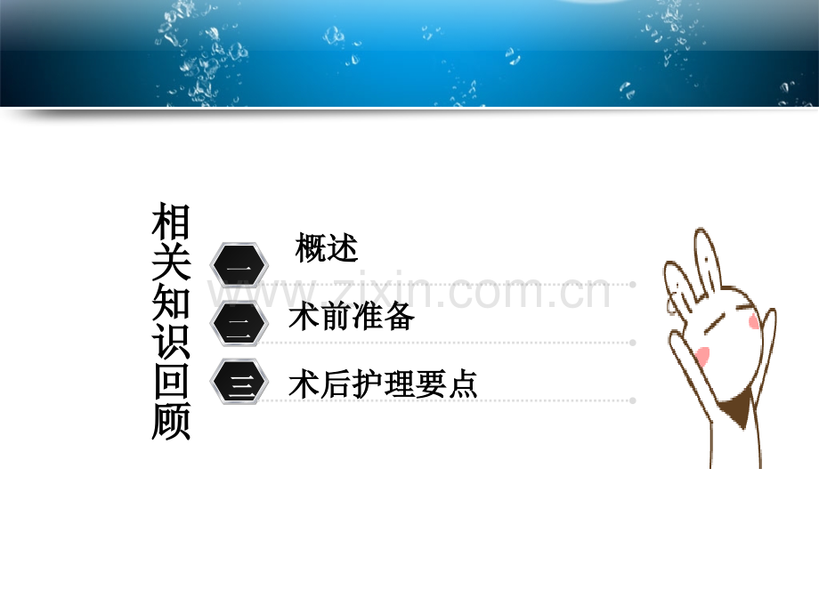 全髋关节置换术的教学查房PPT培训课件.ppt_第2页