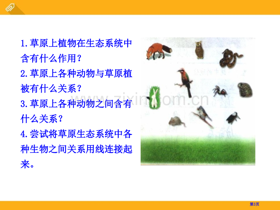 生态系统的结构和功能省公开课一等奖新名师优质课比赛一等奖课件.pptx_第3页