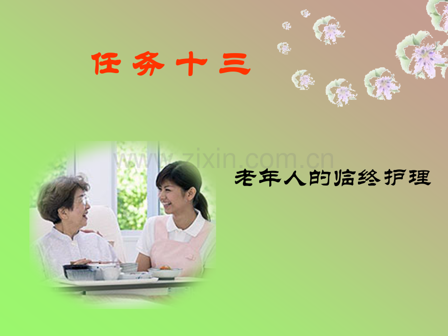 临终老年人的护理ppt培训课件.ppt_第3页