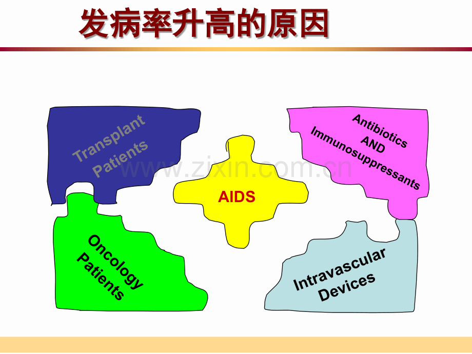 侵袭性肺部真菌感染经验性治疗进展PPT培训课件.ppt_第2页