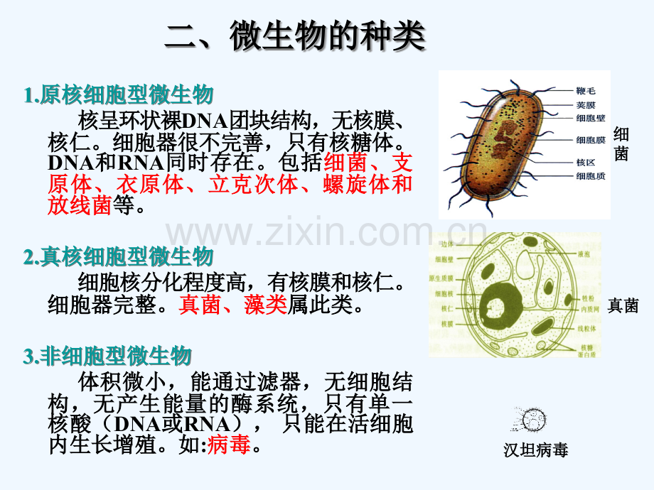 病原生物学与免疫学基础绪论.pptx_第3页