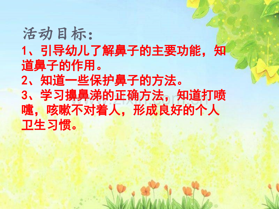 中班健康有用的鼻子课件.ppt_第2页