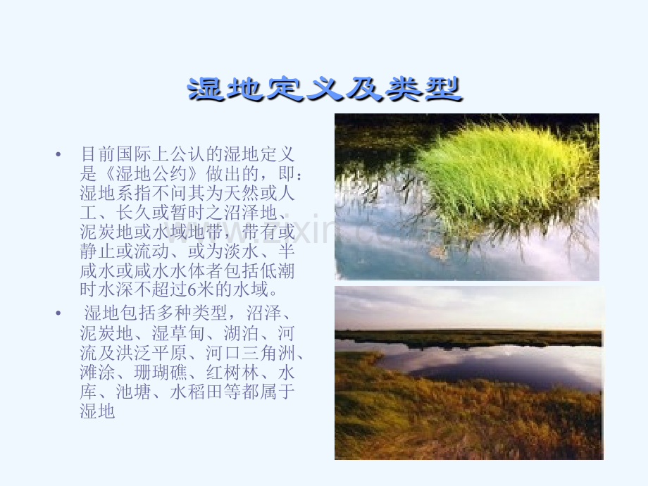 地球之肺——湿地.ppt_第2页