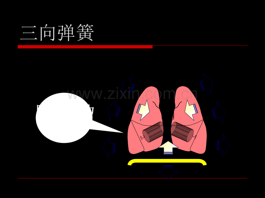 呼吸力学基础.ppt_第3页