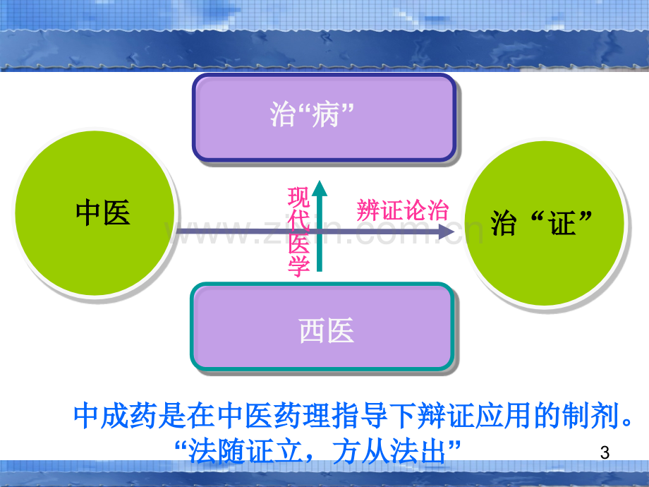 中成药的临床合理使用讲义.ppt_第3页