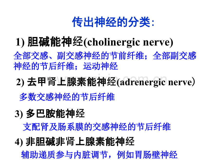 传出神经系统药理复习讲义.ppt_第3页