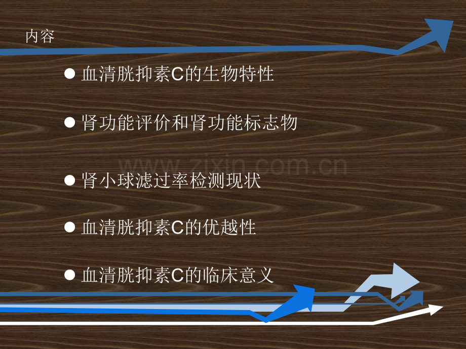 PPT医学课件血清胱抑素C的临床意义讲义.ppt_第1页