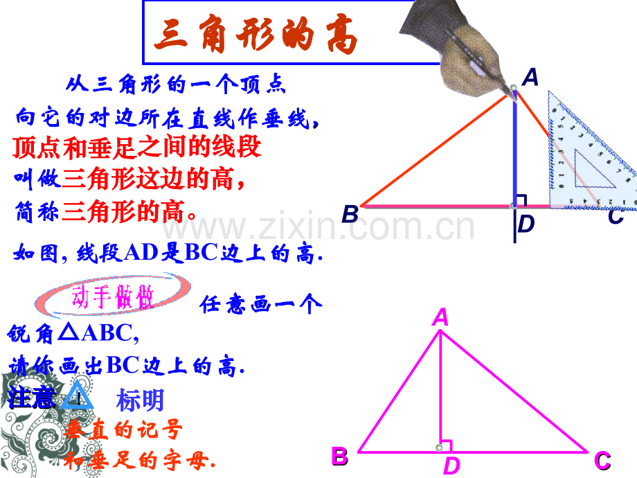 11.1.2三角形高中线和角平分线.宣讲2专题培训课件.ppt_第3页