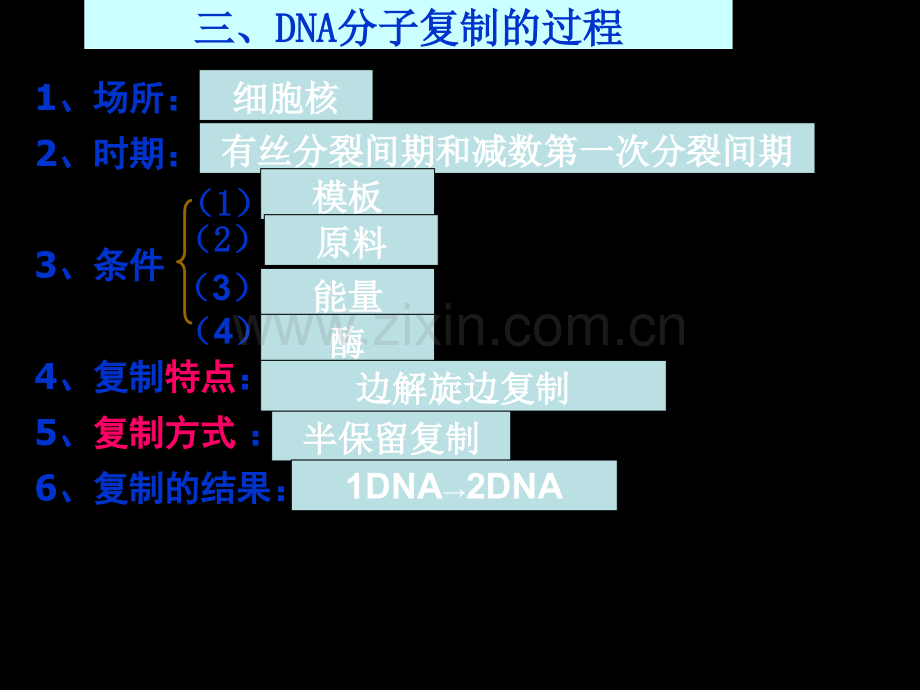 DNA分子的复制一轮复习.ppt_第3页