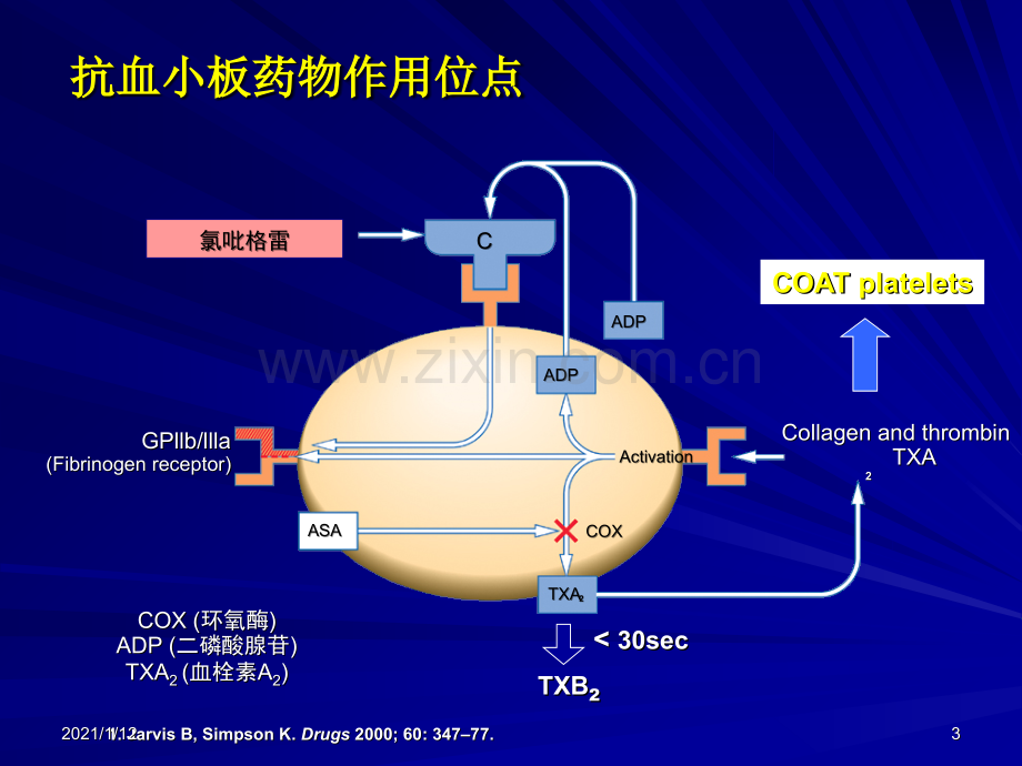 抗血小板治疗争议与选择.ppt_第3页