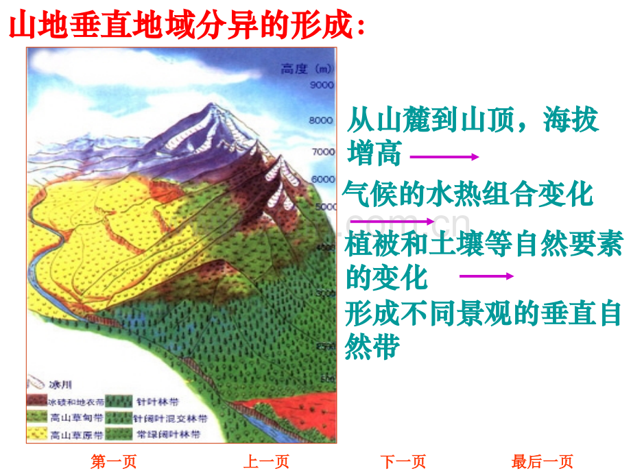 山地垂直地带性分异规律.ppt_第2页