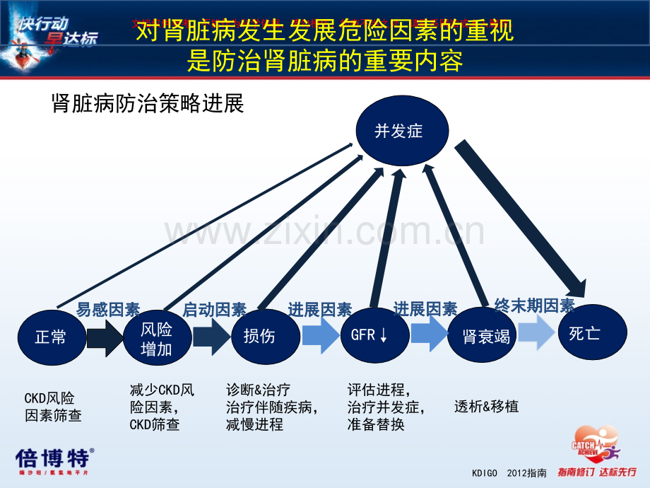 倍博特肾科专业知识讲座课件.ppt_第2页