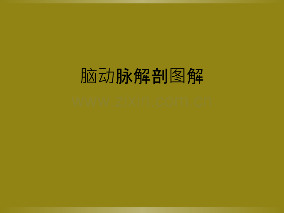 脑动脉解剖图解.ppt_第1页