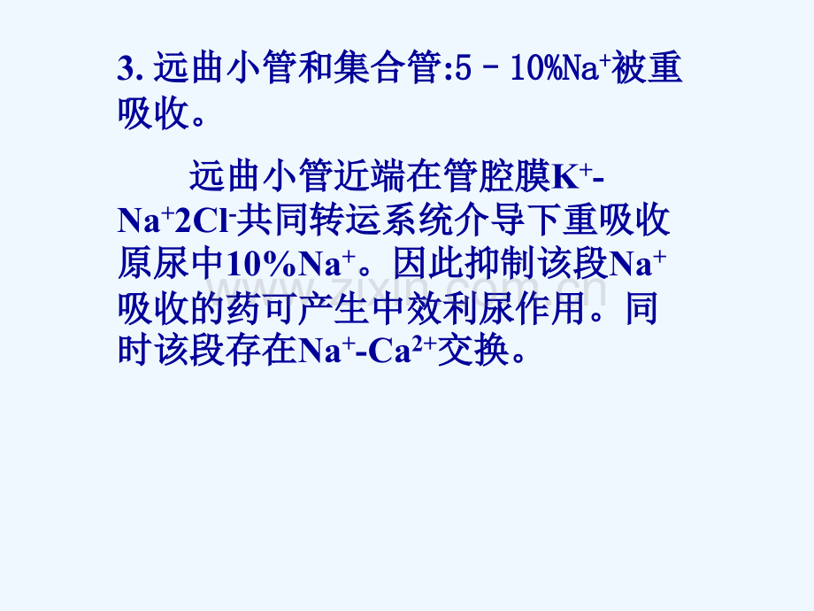 药理学--利尿药及脱水药.pptx_第3页