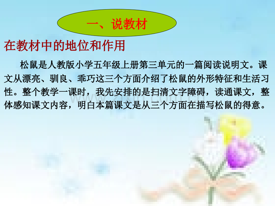 松鼠说课课件.ppt_第3页