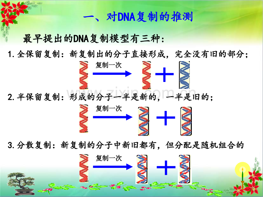 DNA的复制动画PPT专业课件.ppt_第1页