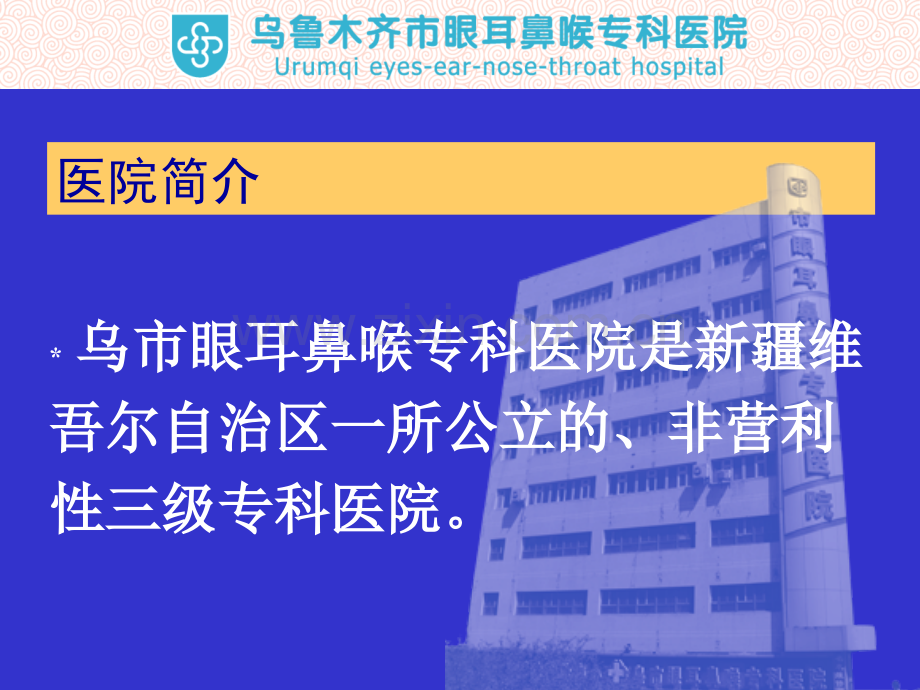 PPT医学课件视觉公益防盲项目在行动讲义.ppt_第2页