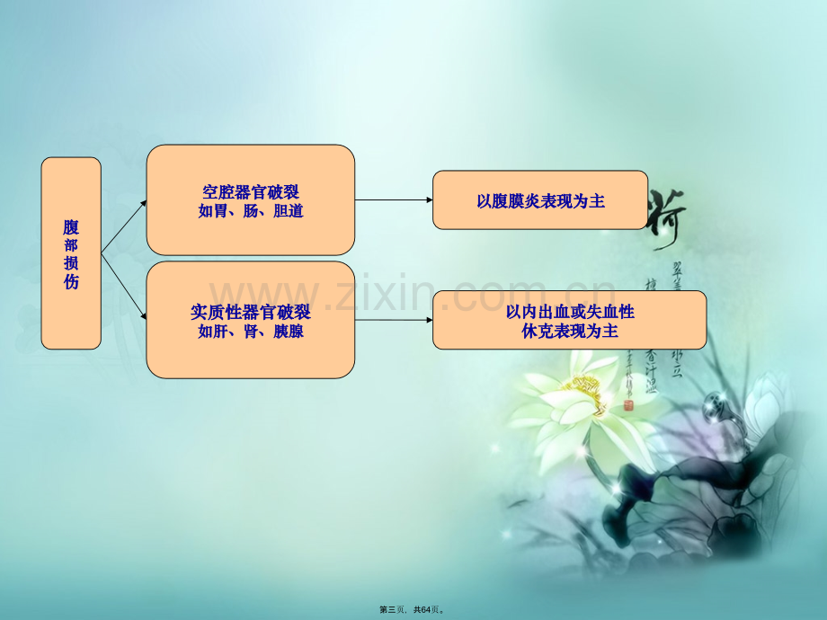 肝脾破裂治疗及护理.pptx_第3页