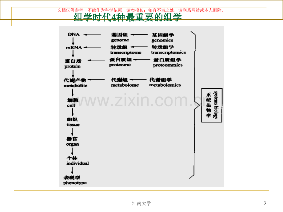 代谢组学课件.ppt_第3页