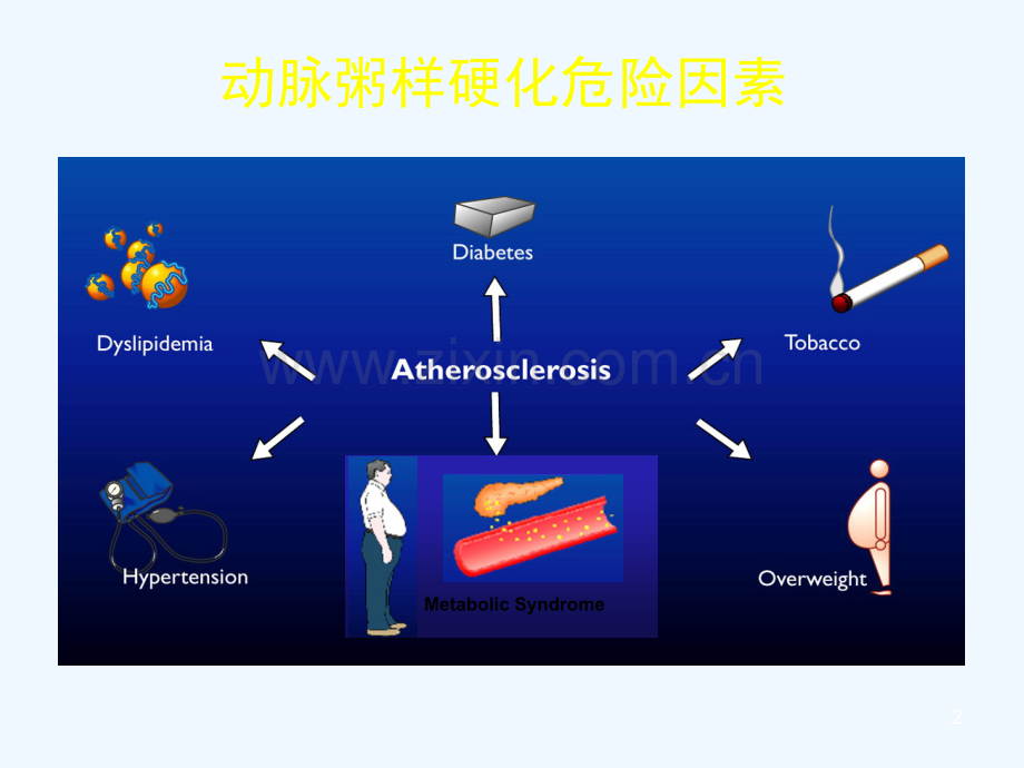 抗动脉粥样硬化药物分类及作用机制.ppt_第2页