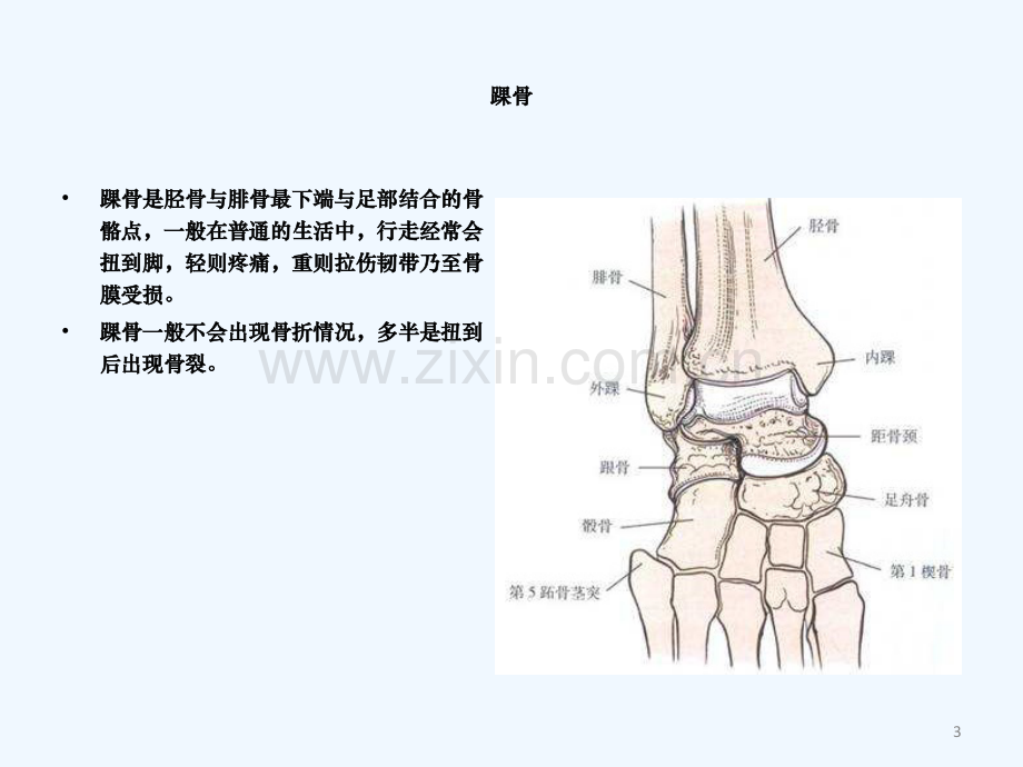 三踝骨折护理查房.ppt_第3页