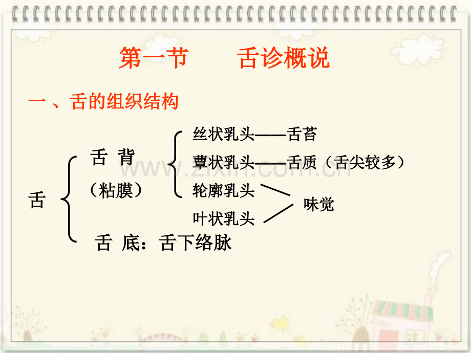 中医诊疗舌诊讲义.ppt_第3页