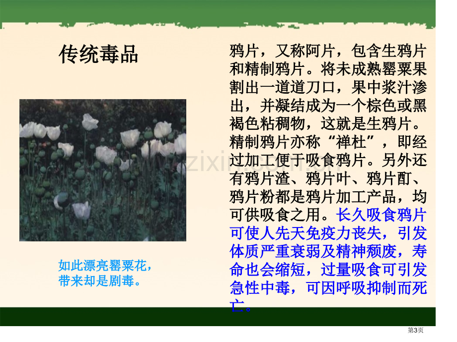 禁毒主题班会演示文稿省公共课一等奖全国赛课获奖课件.pptx_第3页