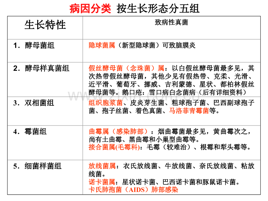 IFI诊断及治疗优质PPT课件.ppt_第3页