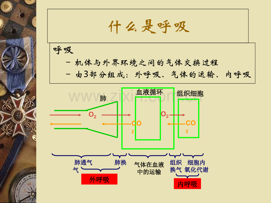 Drager呼吸机的使用医学知识讲解讲义.ppt_第3页