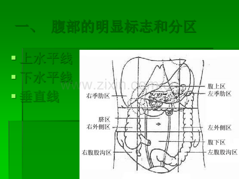 妇产科手术切口与缝合.ppt_第3页