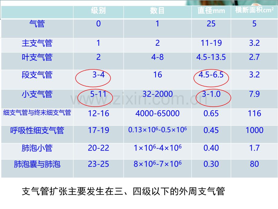 儿童支气管扩张课件.ppt_第3页