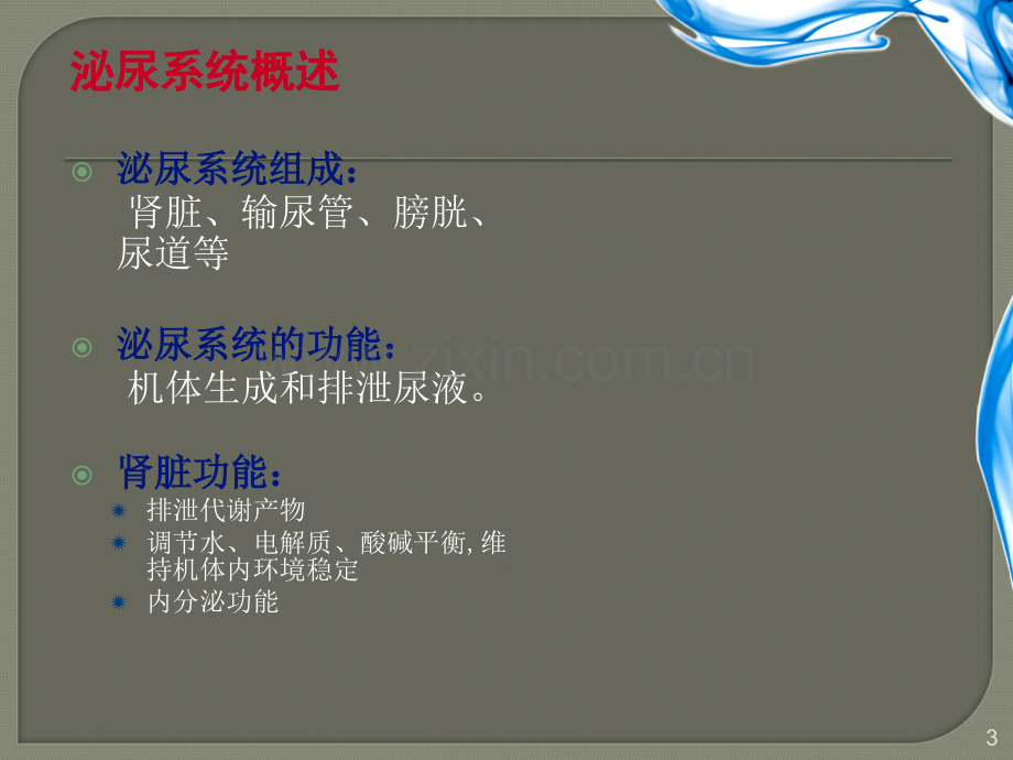 泌尿系统症状体征护理课件.ppt_第3页