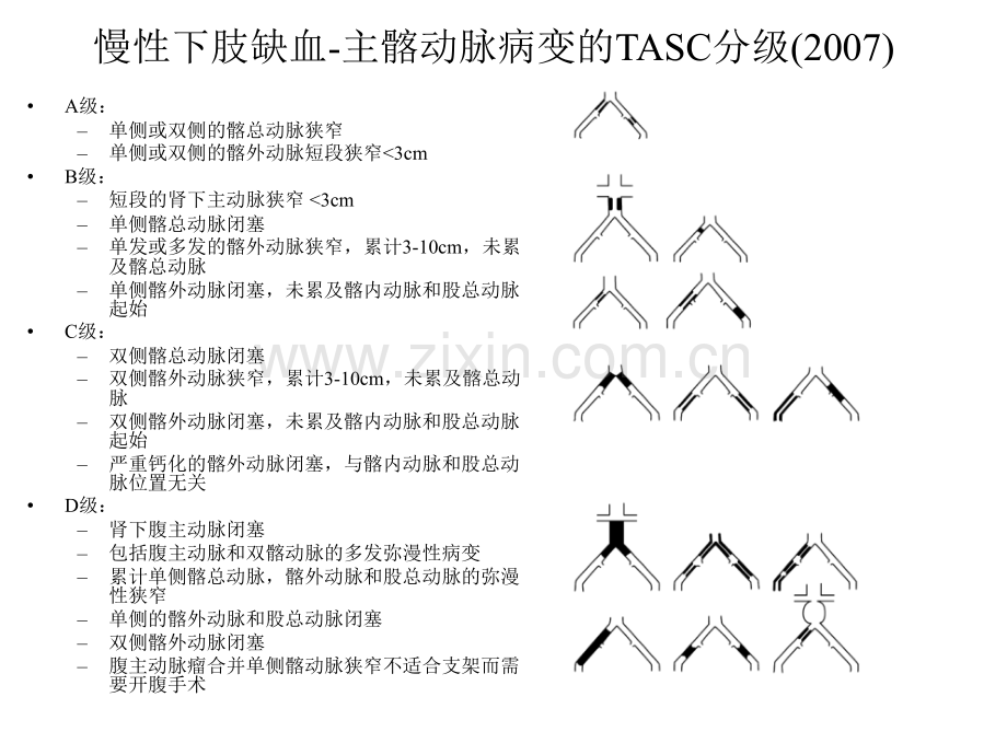 下肢缺血分级.ppt_第3页