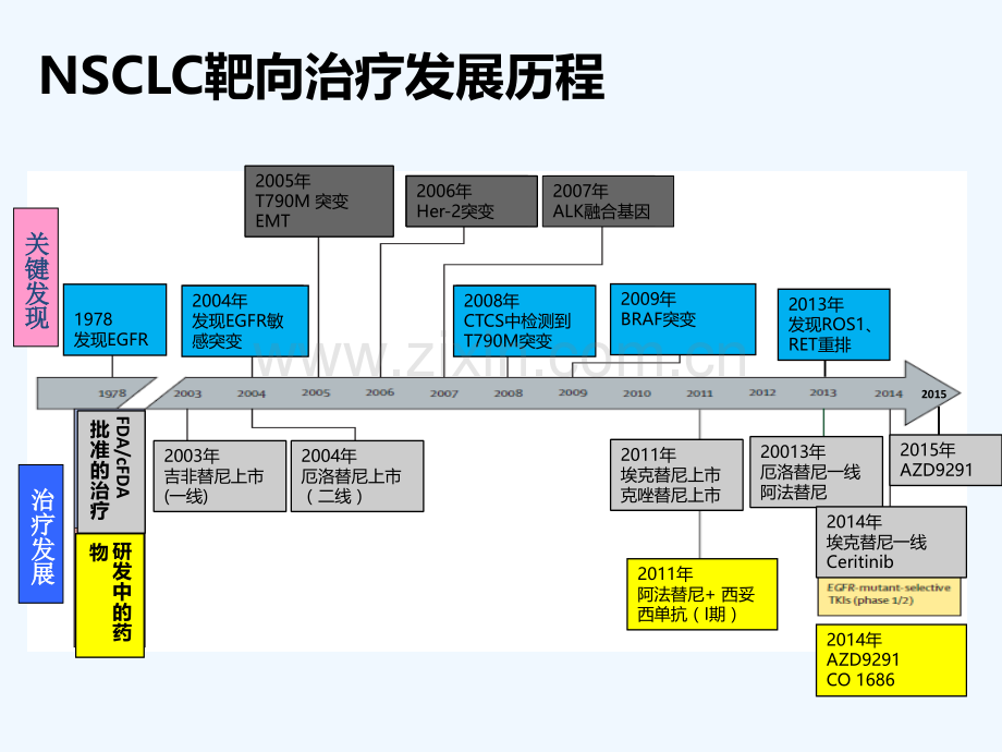 肺癌靶向药特罗凯凯美纳易瑞沙三药比较.ppt_第3页