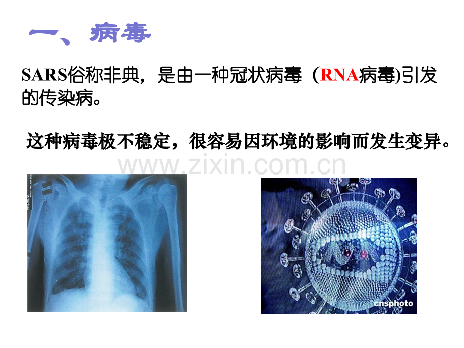 1.1生命活动离不开细胞专题培训课件.ppt_第2页