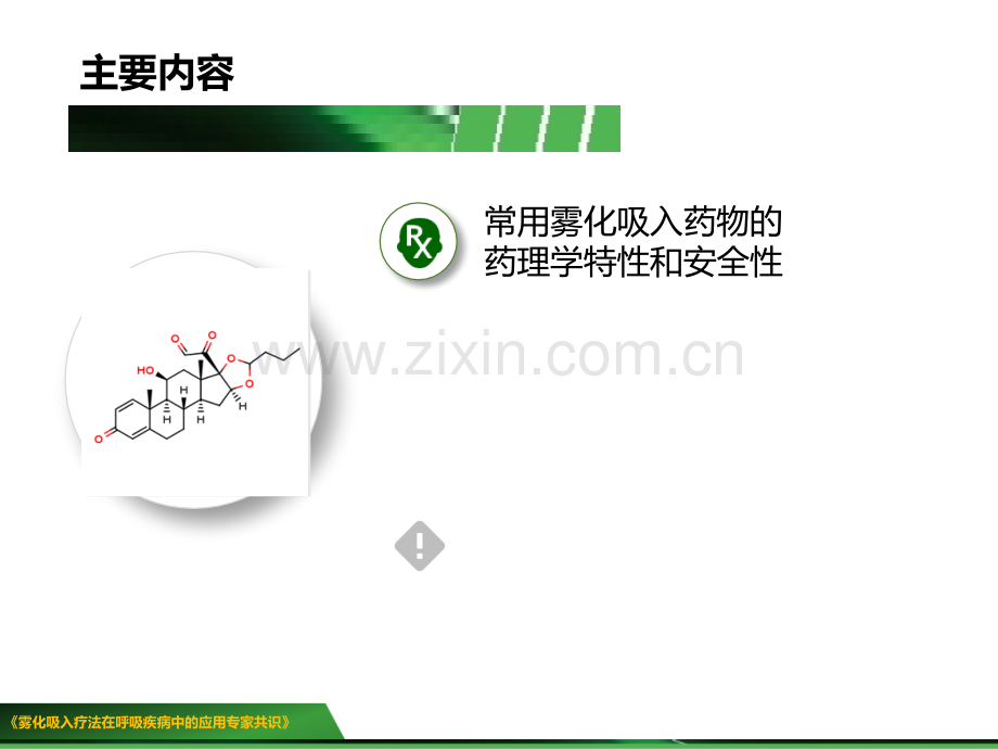 常用雾化吸入药物的药理介绍.ppt_第2页