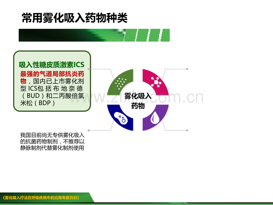 常用雾化吸入药物的药理介绍.ppt_第3页