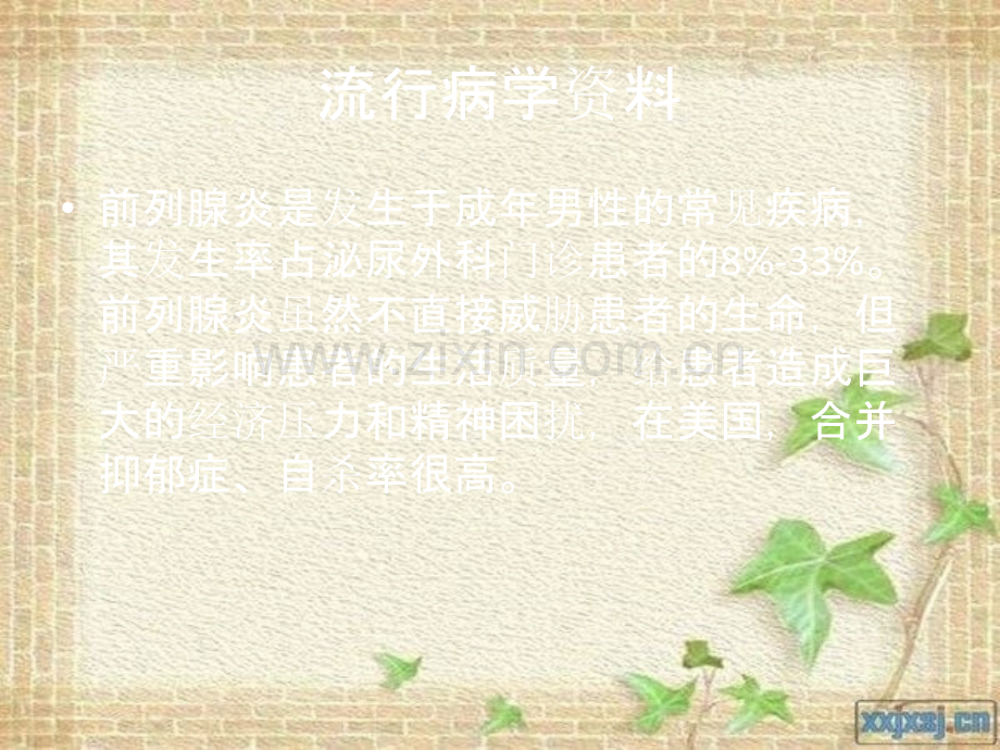 前列腺炎病人的护理.ppt_第3页