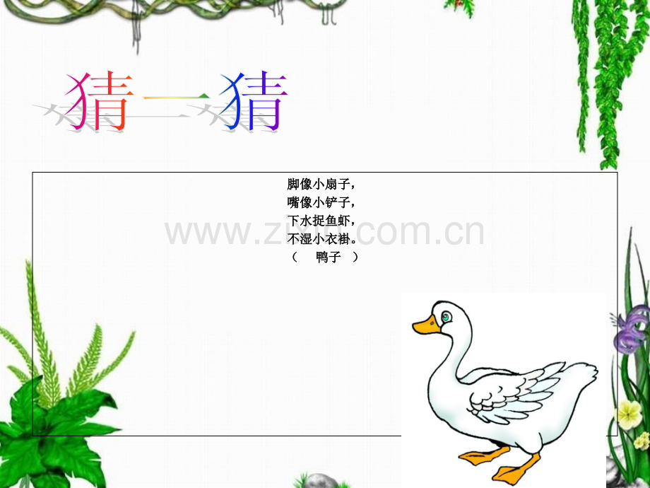 人教课标版小学语文一年级上册6比尾巴课件图文.pptx_第2页