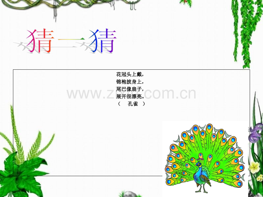 人教课标版小学语文一年级上册6比尾巴课件图文.pptx_第3页