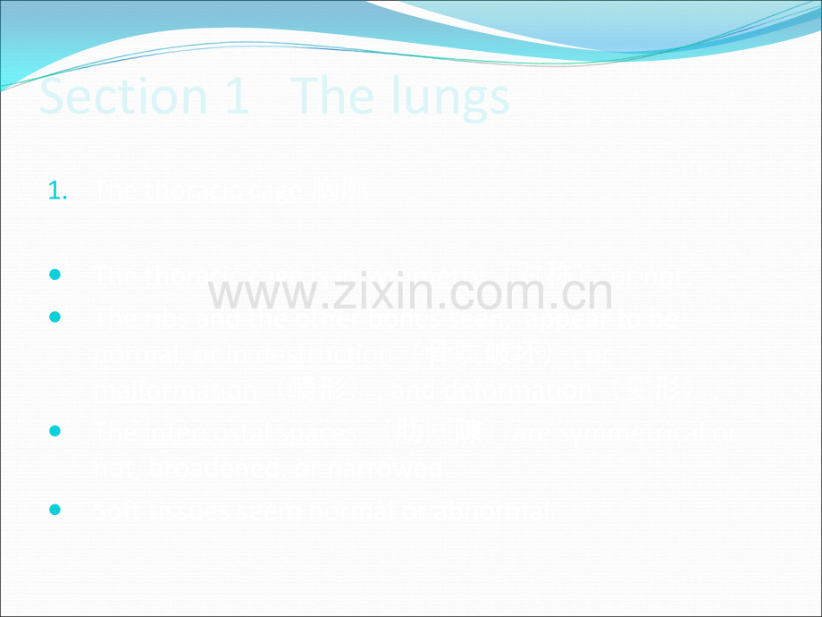 呼吸系统X线诊断英文.ppt_第2页