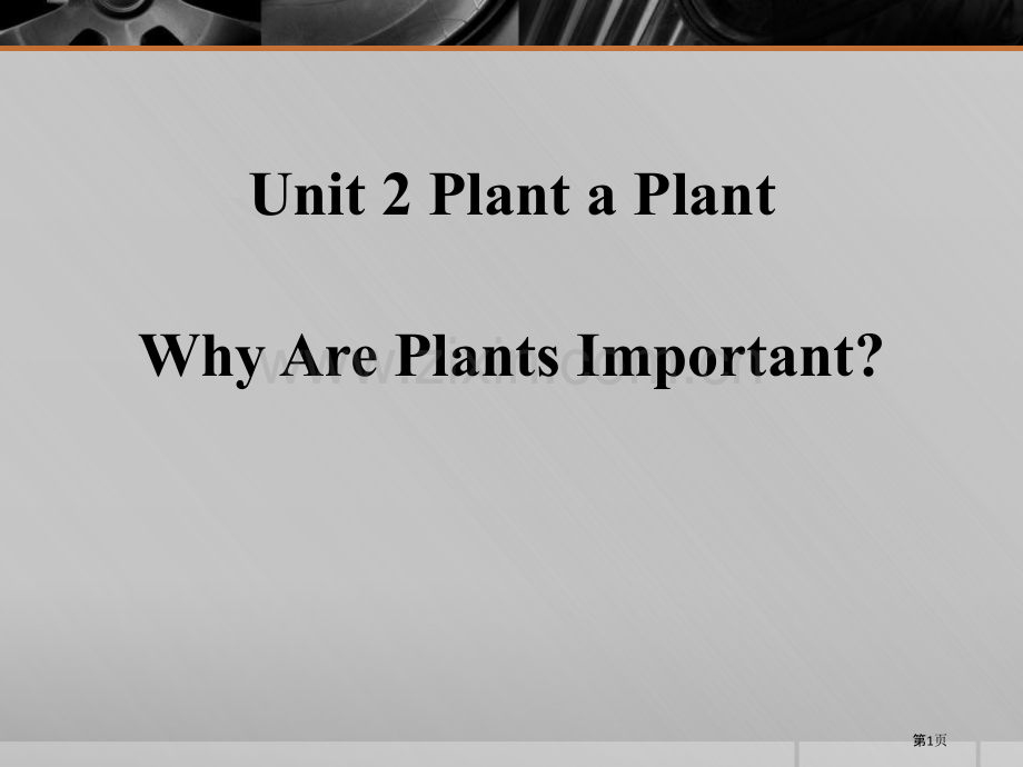 Why-Are-Plants-ImportantPlant-a-Plant省公开课一等奖新名师优质课.pptx_第1页