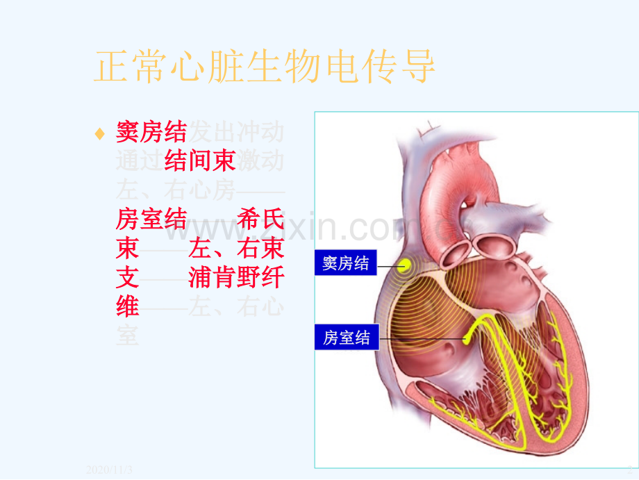 心脏起搏器简述.ppt_第2页