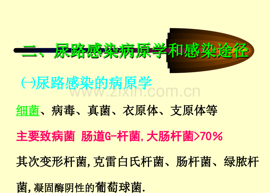 尿路感染病原学、诊断和处理.ppt_第3页