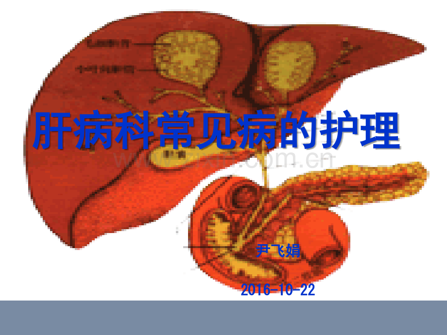 肝病科常见病护理介绍.ppt_第2页