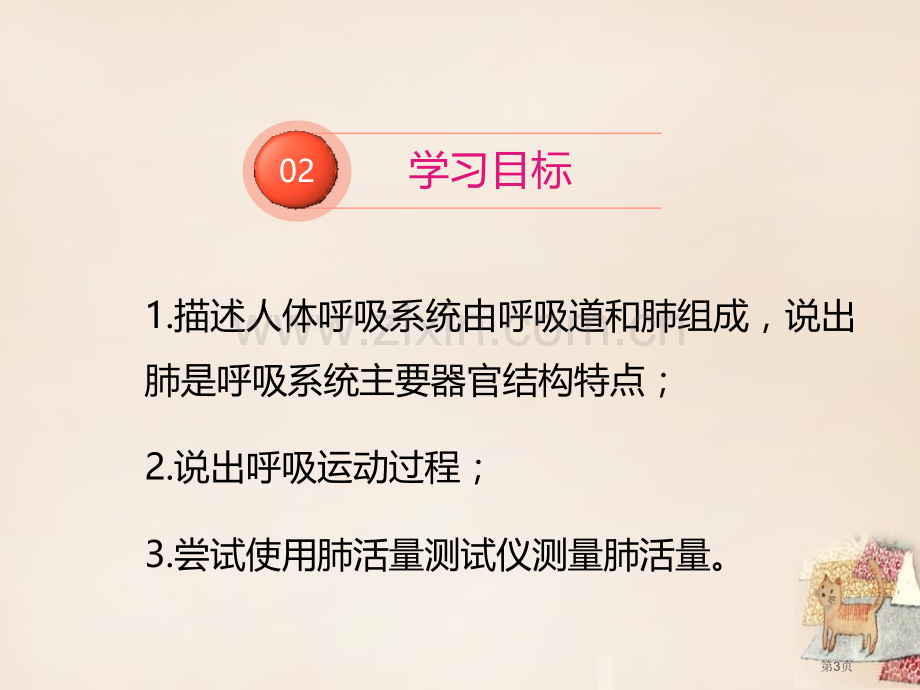 人体和外界环境的气体交换教学课件省公开课一等奖新名师优质课比赛一等奖课件.pptx_第3页