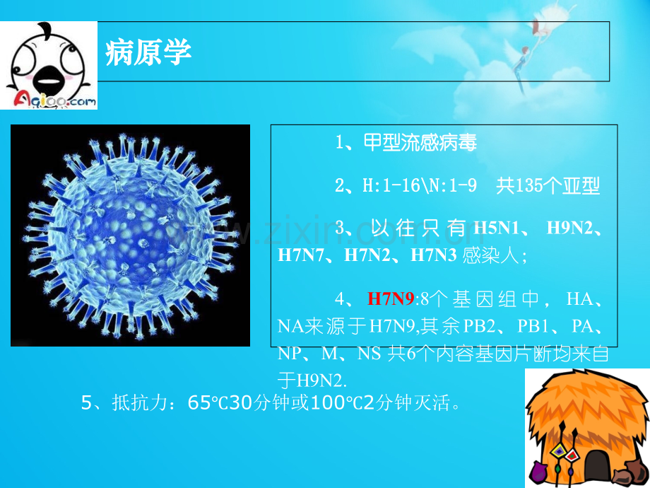 人感染HN禽流感培训ppt培训课件.ppt_第3页