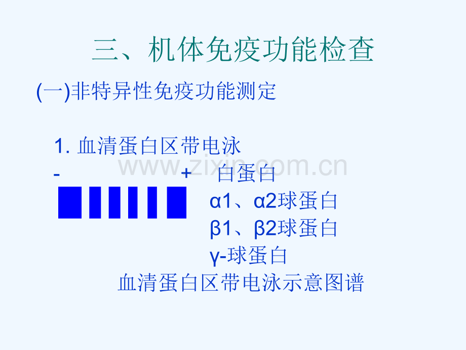 免疫学检查.pptx_第3页